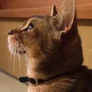 ひろの画像