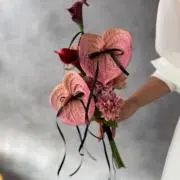 ほうき星☆の画像