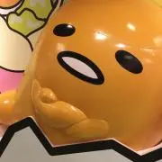245の画像