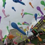 サッピー