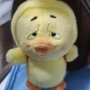 r mの画像