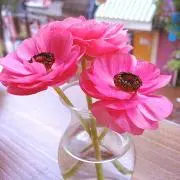 ♡と♡