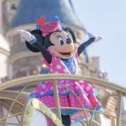 ファンダーランダーの画像
