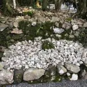 ペガサスの画像