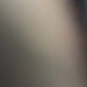 lilllliliiiillllllllの画像
