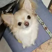 リクリオ
