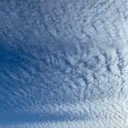 浮雲の画像