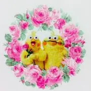 チヨコ
