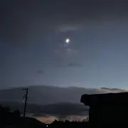 もちの画像