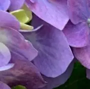 サク　続々更新中⭐︎の画像