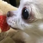 ミルクの画像