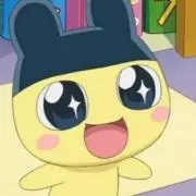 ⭐️の画像