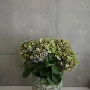 Rouenの画像
