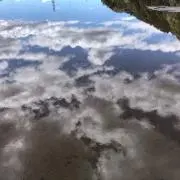 いなり