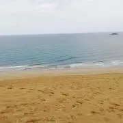 としちゃんの画像