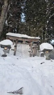 T7Ki88の画像
