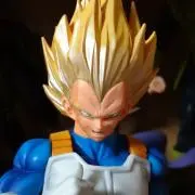 トキトの画像