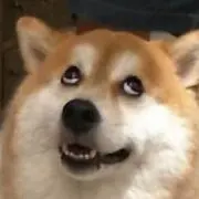 とわ
