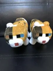 げん