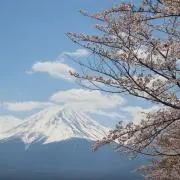 micの画像