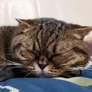 まる