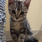 ひとみ