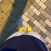 T蒔