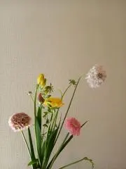 uuの画像