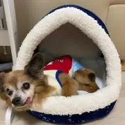 金谷 アイリン