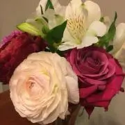 スプリングmama's