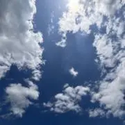 moriの画像