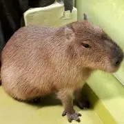 ユーキの画像