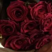 プロフ見てくださいyygg_123456の画像