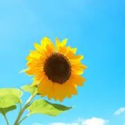 ♡K♡