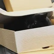 やまだ