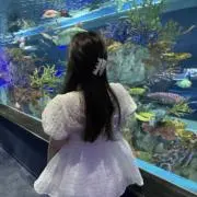 Rの画像