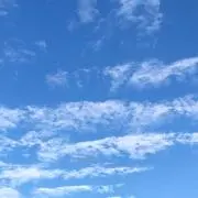 りんご