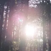 woody313の画像