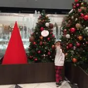 りりいさん