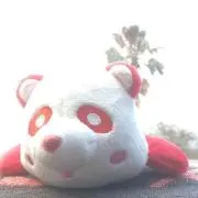 Sho♪