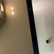 みの画像