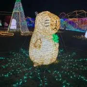 かにゃおんの画像