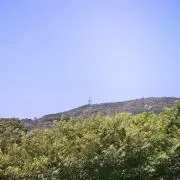 あくまん。