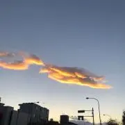 高坂の画像