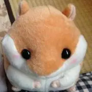 アッキー