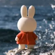 サラの画像