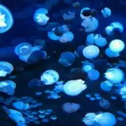 aqua