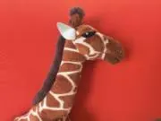 むーの画像