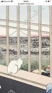 ヨヨ　購入前にプロフご確認下さいの画像