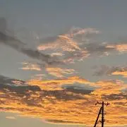 monaの画像